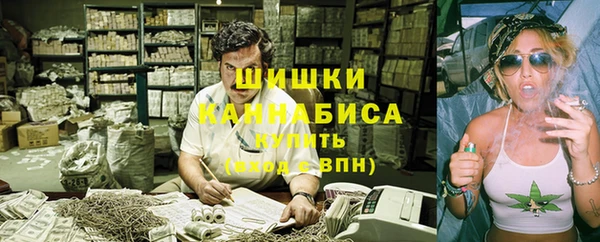 прущие грибы Липки