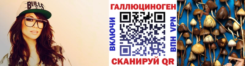 Галлюциногенные грибы мицелий  наркошоп  Благовещенск 